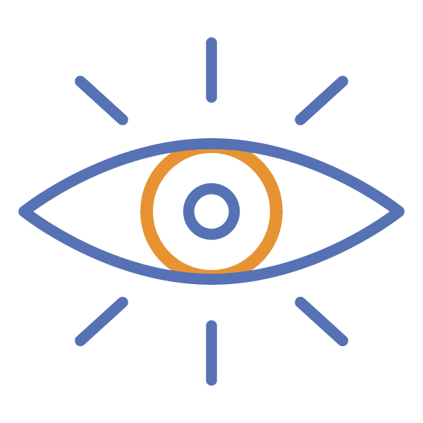 Vision
